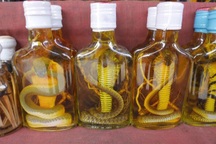 Làng chuyên ngâm rượu rắn, rết, bọ cạp cùng nhiều loài kịch độc