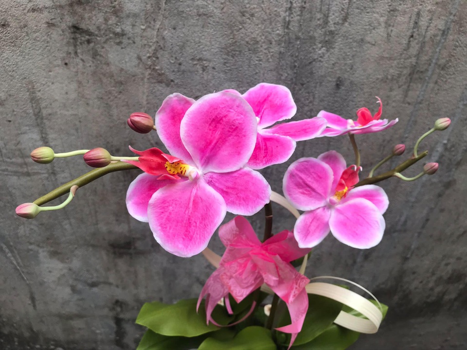 Đất sét đơm hoa kết trái dưới bàn tay khéo léo của 9X Sài Gòn - 2 Đất sét đơm hoa kết trái dưới bàn tay khéo léo của 9X Sài Gòn - 2