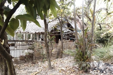 Điều tra vụ bé gái 11 tuổi tố cáo bị xâm hại