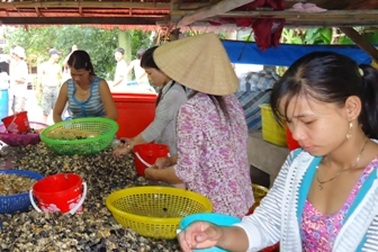 Săn “quái vật” của mùa màng xuất sang Trung Quốc