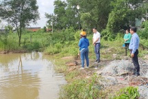 Hai bé trai tử vong dưới ao nước ở TPHCM