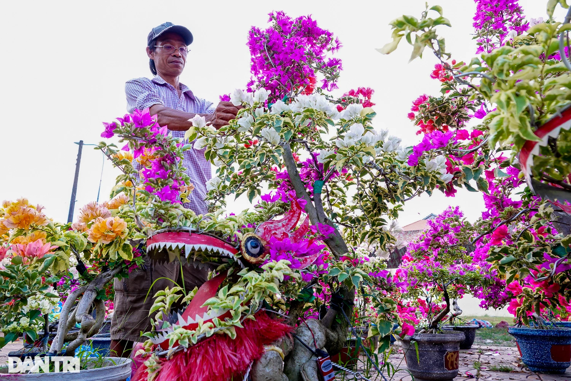 Chợ hoa Tết ở Cần Thơ: Giá niêm yết, giảm sâu vẫn bị khách ngó lơ - 9
