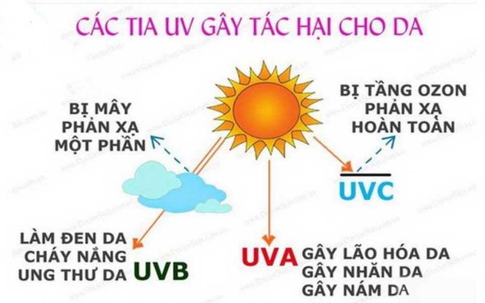 Coi chừng tia UV tàn phá làn da, gây ung thư - 1 Coi chừng tia UV tàn phá làn da, gây ung thư - 1