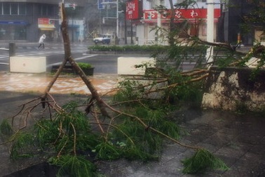 Siêu bão với sức gió hơn 250km/h đổ bộ vào Nhật Bản