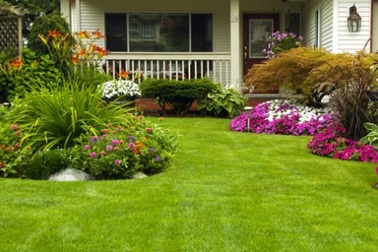 7 “bí quyết” để thiết kế khu vườn nhỏ tuyệt đẹp