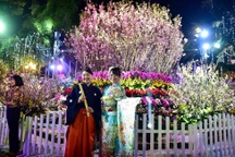 Hàng ngàn cành hoa anh đào khoe sắc bên hồ Hoàn Kiếm