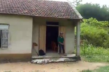 Người mẹ nghèo cầu mong mọi người mở rộng lòng thương để cứu lấy con mình.