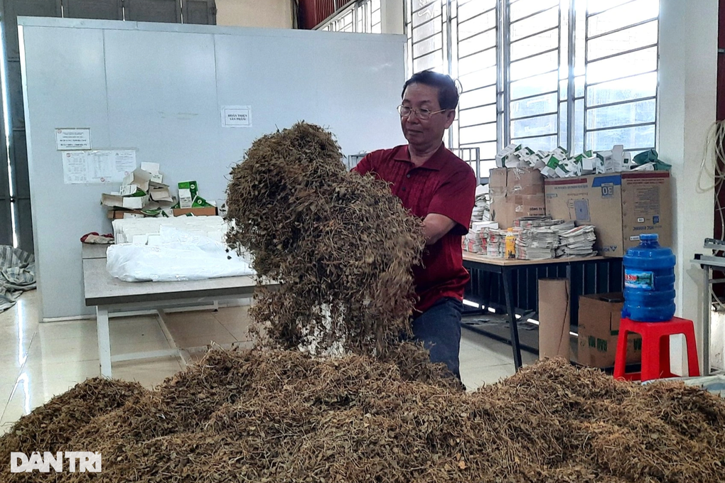 Nai lưng trồng rau má, tưởng thoát nghèo, nhiều hộ dân lại bị bùng tiền - 4 Nai lưng trồng rau má, tưởng thoát nghèo, nhiều hộ dân lại bị bùng tiền - 4