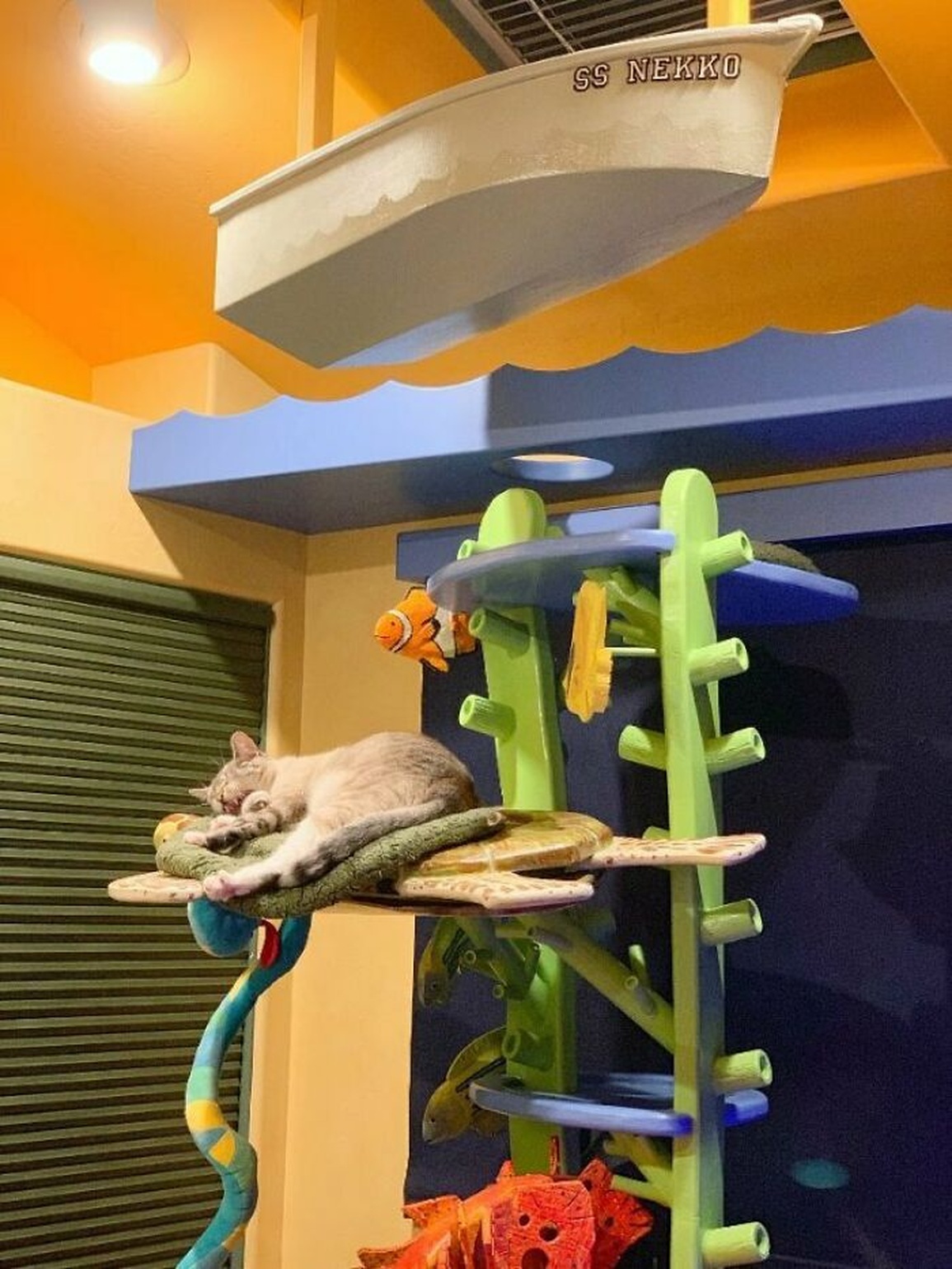 Người đàn ông biến nhà ở thành thiên đường cho mèo - 4 Người đàn ông biến nhà ở thành thiên đường cho mèo - 4