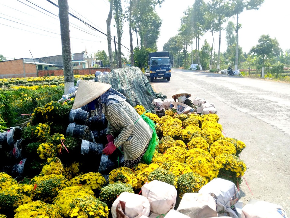 Thành phố hoa miền Tây Sa Đéc “khát” khách sạn 3-4 sao - 1 Thành phố hoa miền Tây Sa Đéc “khát” khách sạn 3-4 sao - 1