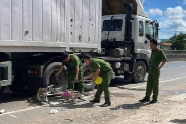 Phạt tù tài xế xe đầu kéo tông chết người rồi bỏ chạy