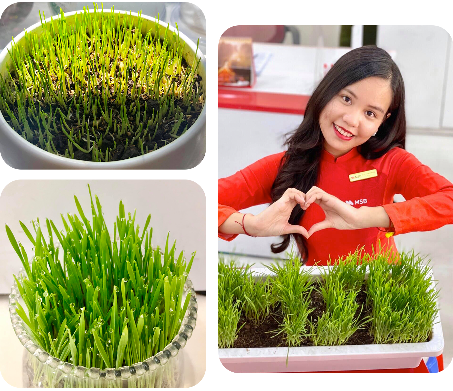 Giới trẻ Việt và hành trình trải xanh Việt Nam - 4 Giới trẻ Việt và hành trình trải xanh Việt Nam - 4
