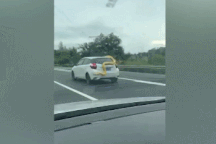 Rùng mình cảnh trăn "khủng" bám bên ngoài ô tô đang chạy trên cao tốc