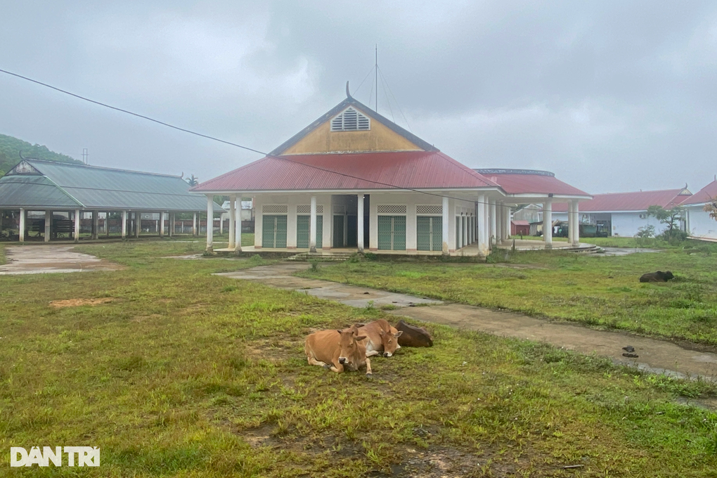 Chợ hơn 9,3 tỷ đồng ở huyện nghèo biên giới thành nơi chăn bò - 4 Chợ hơn 9,3 tỷ đồng ở huyện nghèo biên giới thành nơi chăn bò - 4