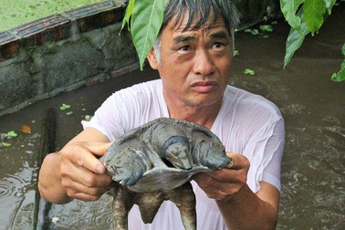 Nuôi thú lạ, lão nông thu về hàng trăm triệu đồng mỗi năm