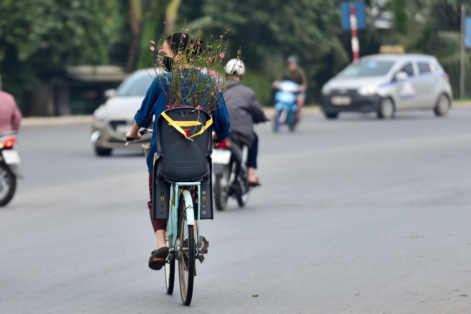 Đào xuống phố sớm, nhiều tuyến đường Hà Nội đã rộn ràng sắc xuân - 14 Đào xuống phố sớm, nhiều tuyến đường Hà Nội đã rộn ràng sắc xuân - 14