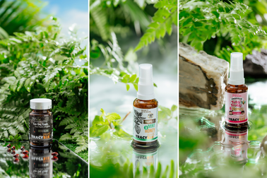 Keo ong xanh Tracybee và nỗ lực mang đến giải pháp hạn chế kháng sinh cho người Việt