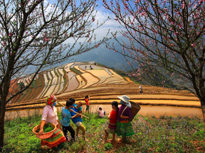 Cơ cấu giải thưởng cuộc thi ảnh "Nét đẹp lao động Tết"