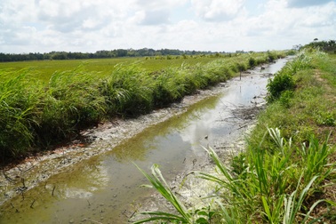 Chia nhỏ gói thầu, đơn vị tư vấn yếu gây thiệt hại 3,3 tỷ tiền ngân sách