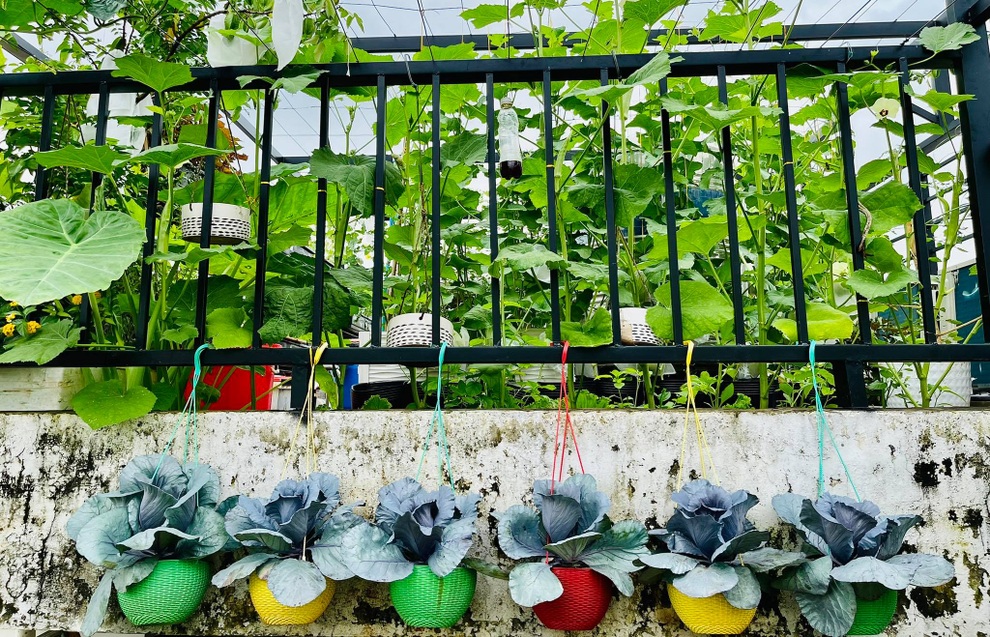 Ngắm vườn như rừng bách thảo trên sân thượng của nữ gia chủ ở Sài Gòn - 3