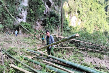 Khởi tố vụ án một hộ dân bị hàng xóm hủy hoại tài sản