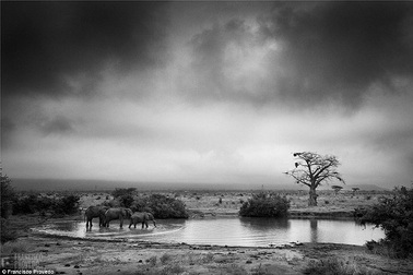 Rung động với những bức ảnh vùng nông thôn Kenya