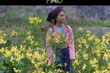 Việt Nam tham dự Liên hoan phim Pháp ngữ ở Pháp