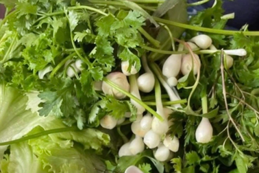 Phát hiện giun dài 10cm ngo ngoe khi đang nội soi