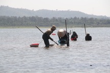 Đi cào hến, 2 người đuối nước thương vong