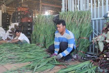 Lâm Đồng: Dạy nghề miễn phí cho gần 1.300 người dân tộc thiểu số