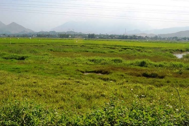 Đà Nẵng: Giá đất nông nghiệp "lao dốc" chỉ vài chục ngàn đồng/m2