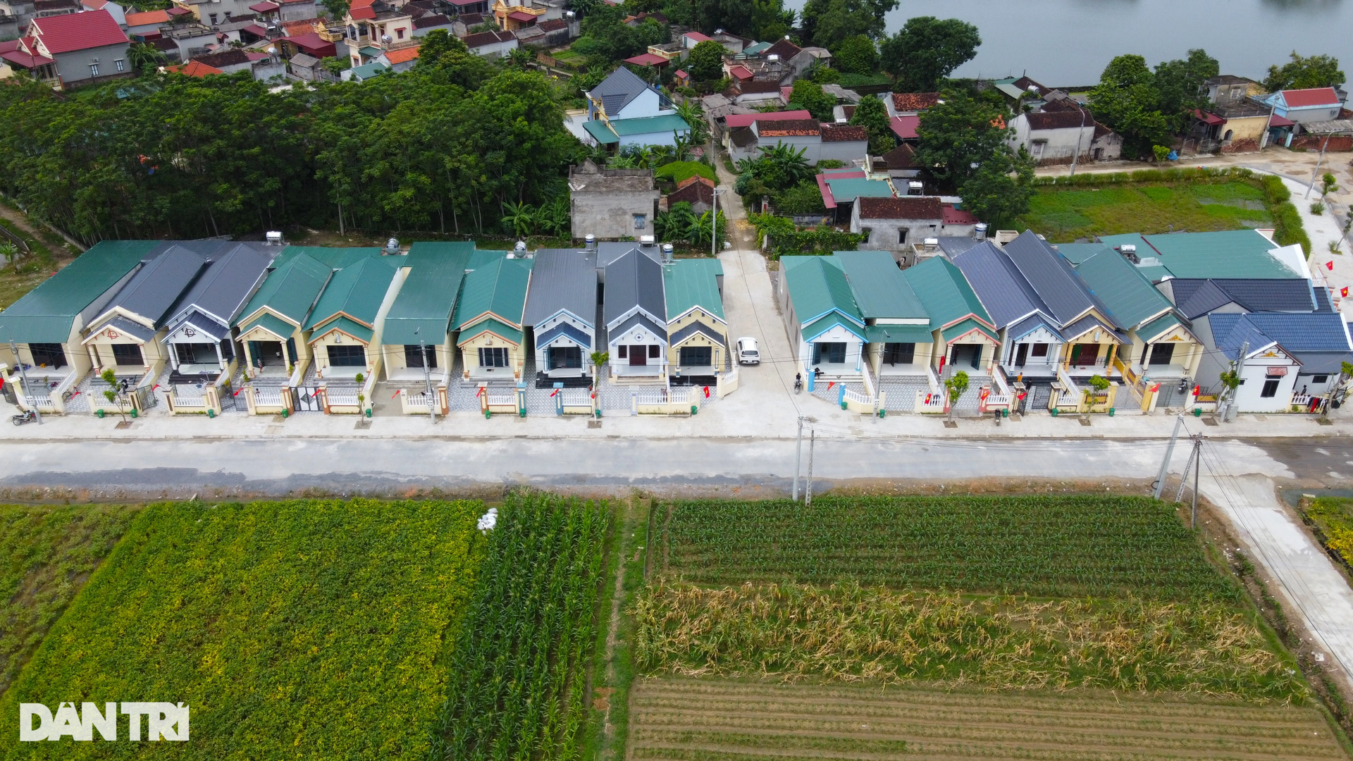 Nước mắt ngày từ sông nước chuyển lên ở khu biệt thự - 1 Nước mắt ngày từ sông nước chuyển lên ở khu biệt thự - 1