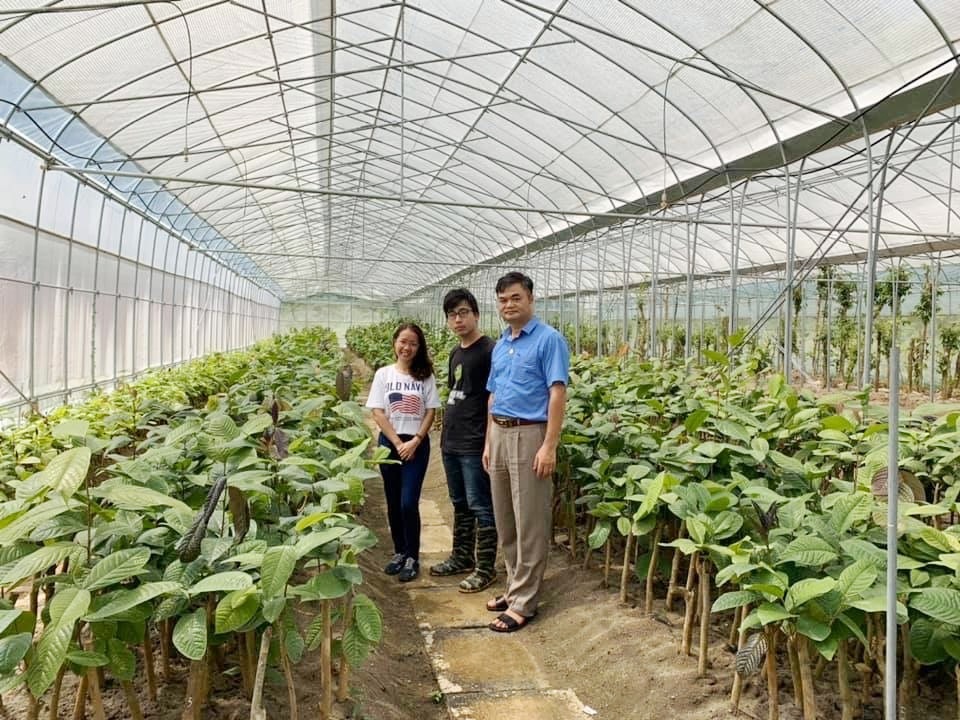 Bí ẩn loài trà hoa vàng chữa bách bệnh quý hiếm ở Ninh Bình - 3 Bí ẩn loài trà hoa vàng chữa bách bệnh quý hiếm ở Ninh Bình - 3