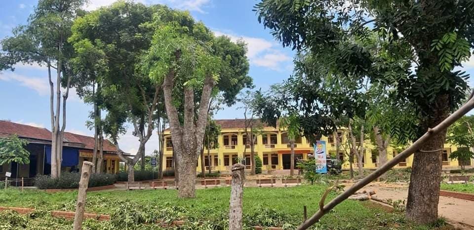Vụ cắt trụi hàng loạt cây: Yêu cầu Hiệu trưởng kiểm điểm, rút kinh nghiệm - 3 Vụ cắt trụi hàng loạt cây: Yêu cầu Hiệu trưởng kiểm điểm, rút kinh nghiệm - 3