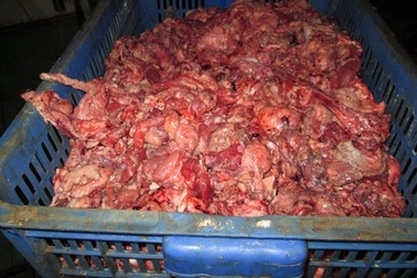 Bò viên làm từ... gà, heo thối