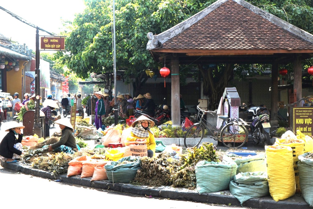 Cụ bà U70 vẫn băng rừng, lội suối hái lá thuốc bán ngày Tết Đoan Ngọ - 1 Cụ bà U70 vẫn băng rừng, lội suối hái lá thuốc bán ngày Tết Đoan Ngọ - 1