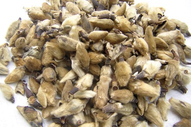 Cảnh giác với viêm mũi xoang tiến triển lúc giao mùa