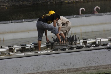 Chính thức tháo dỡ dàn nhạc nước 200 tỉ đồng