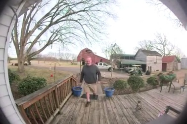 Rắn ẩn nấp ở cửa, bất ngờ lao ra cắn chủ nhà