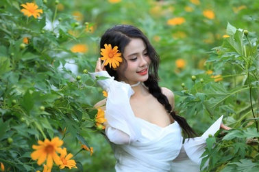 Không cần đi Ba Vì, giới trẻ thích thú check in hoa dã quỳ giữa Hà Nội