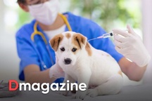 Virus dại xuất hiện từ 4.000 năm trước, đến nay vẫn gieo rắc cái chết