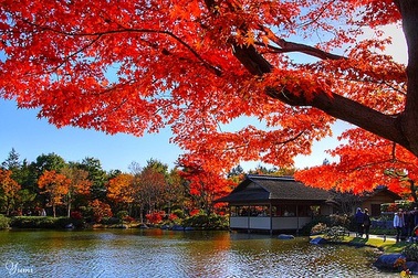 Khám phá những miền đất đẹp ngất ngây ở xứ sở Mặt trời mọc