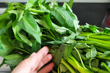 Giá xăng giảm 4 lần rồi, sao giá bó rau ngoài chợ vẫn chưa giảm?