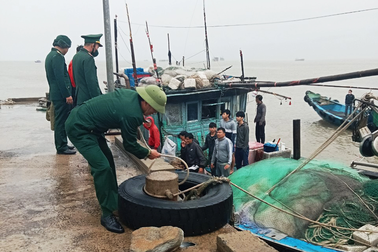 Huy động hàng loạt tàu cá ứng cứu 8 ngư dân gặp nạn trên biển