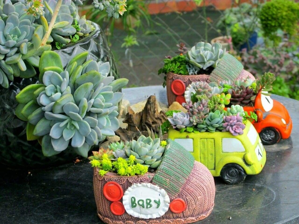 Vợ chồng trẻ rủ nhau bỏ phố về quê, làm vườn đẹp mê chỉ hết 1 triệu đồng - 5 Vợ chồng trẻ rủ nhau bỏ phố về quê, làm vườn đẹp mê chỉ hết 1 triệu đồng - 5