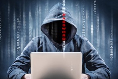 Bất mãn với giáo viên, học sinh 16 tuổi đánh sập trang web của 444 trường học