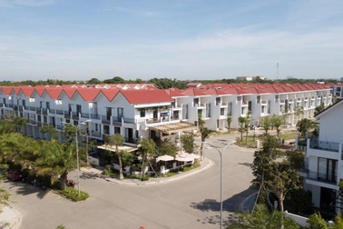 API: EPS 2021 đạt 4.500 đồng/cổ phiếu, đứng trong top cao nhất ngành bất động sản