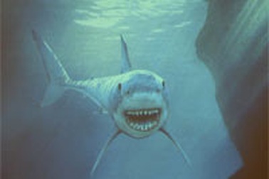 Lần đầu tiên trình diễn ý tưởng quảng cáo