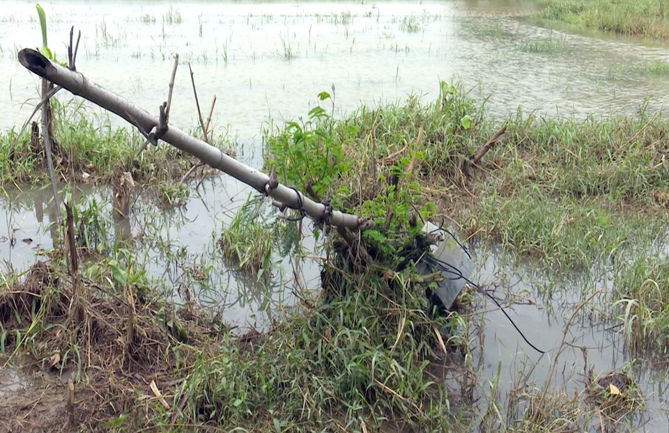 Một phụ nữ nghi bị điện giật tử vong khi dọn rác sau lũ - 1 Một phụ nữ nghi bị điện giật tử vong khi dọn rác sau lũ - 1