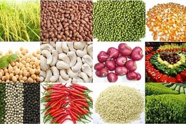 Hàng bẩn làm "ê mặt" nông sản Việt xuất khẩu